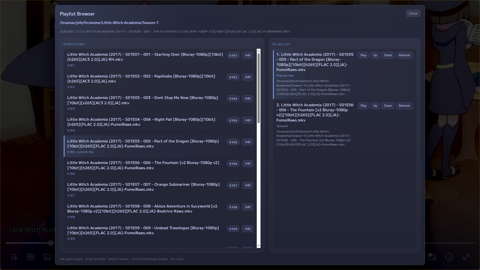 Playlist browser modal showing sibling episode files beside the active mpv queue